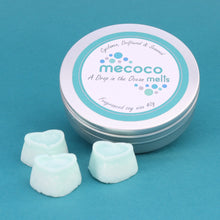 Load image into Gallery viewer, A Drop in the Ocean / Rocksalt&amp; Driftwood, Blue Scented Soy Wax Melts Tin
